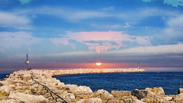 乐鱼体育leyu官网女生室内可用健身器材