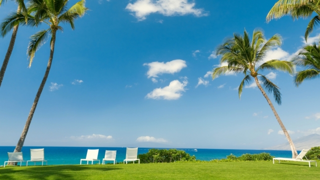 乐鱼体育leyu官网室内健身运动服女款